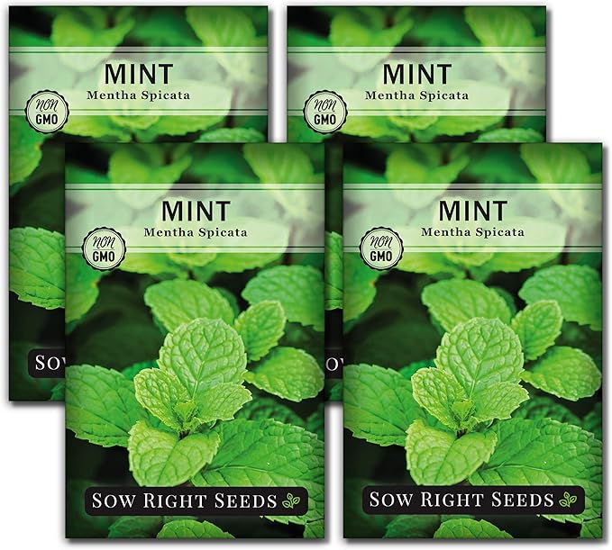 Sow Right Seeds - Mint Seed for Planting - Non-GMO Heirloom Packet with Instructions to Plant an Herbal Tea Garden - Indoors or Outdoor - Perennial and Fragrant - Hydroponics and Kitchen Gardening (4)