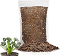 Gardenera Premium Albuca Spiralis Potting Soil Mix - Perfect Balance of Nutrients, Drainage, and Aeration for Thriving Blooms - 4 Quart