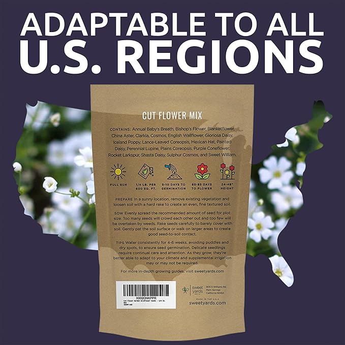 Showy Baby's Breath Seeds – Bulk Quarter Pound Bag – Over 80,000 Open Pollinated Non-GMO Wildflower Seeds – Gypsophila elegans – Quick Blooming White Flowers