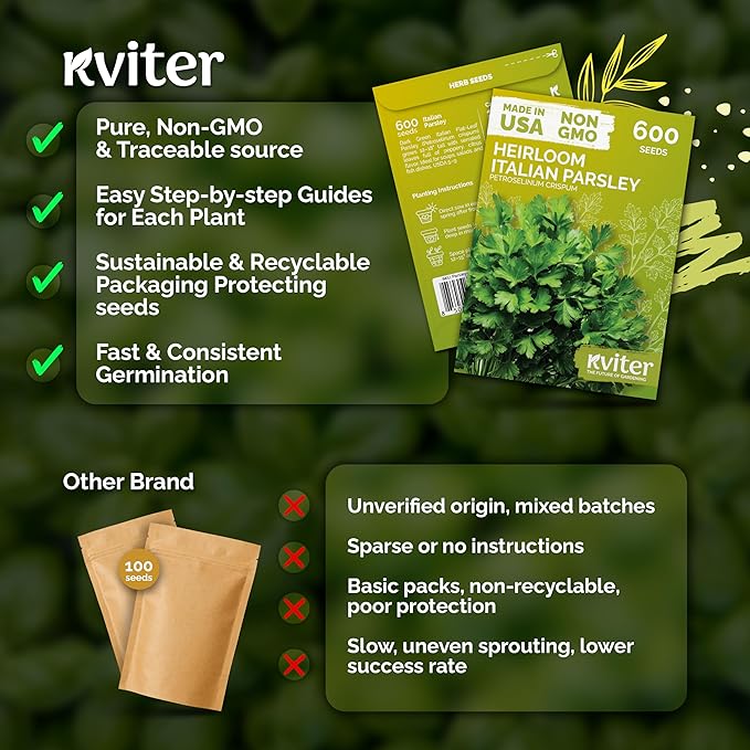 KVITER 600 Flat Leaf Italian Parsley Seeds (Petroselinum crispum) - Flavorful Classic Flat Leaf Parsley Seed Packets - Non GMO & Heirloom Seeds for Planting in Kitchen Herb Garden, Containers & Beds