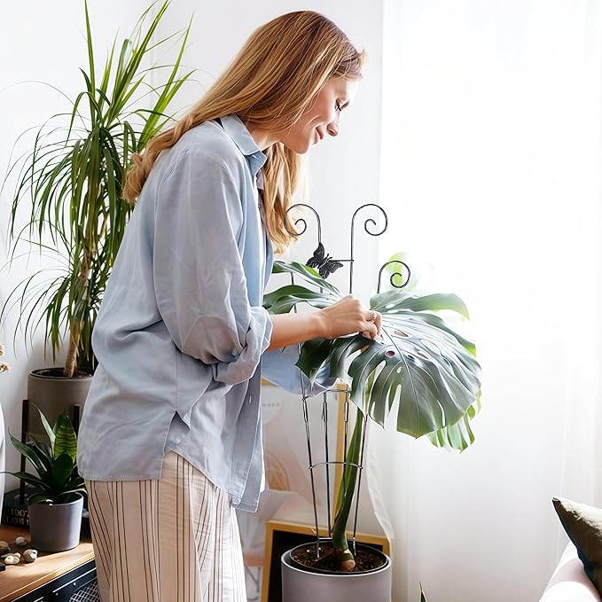 COOMIN 30'' Monstera Plant Support Outdoor, Metal Expandable Plant Supports for Indoor Plants, 4P Garden Trellis for Climbing Plants Indoor - Ivy, Pothos, Philodendron, Hoya