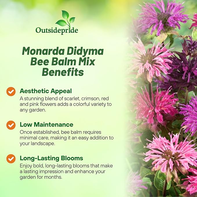 Outsidepride Bee Balm Mix Seeds - 500 Pcs Perennial, Easy to Grow & Pollinator Friendly Monarda Didyma Flower Seeds for Planting Mint Scented Leaves & Edible Blooms, Ideal for Teas & Potpourri
