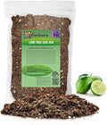 Gardenera's Premium Lime Soil Mix - Fast-Draining Potting Soil for Growing and Repotting Citrus Aurantifolia - 3 Quart