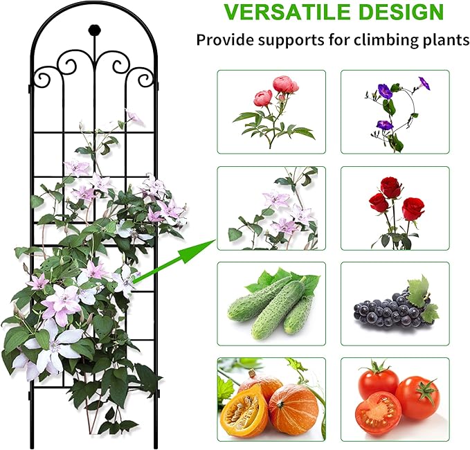 LZRS 2 Pack 71x20in Rustic Iron Arch Decoration Garden Trellis with Black Metal Coating – Perfect for Supporting Climbing Plants Outdoor, Roses, Vines, Flowers, and Vegetables.