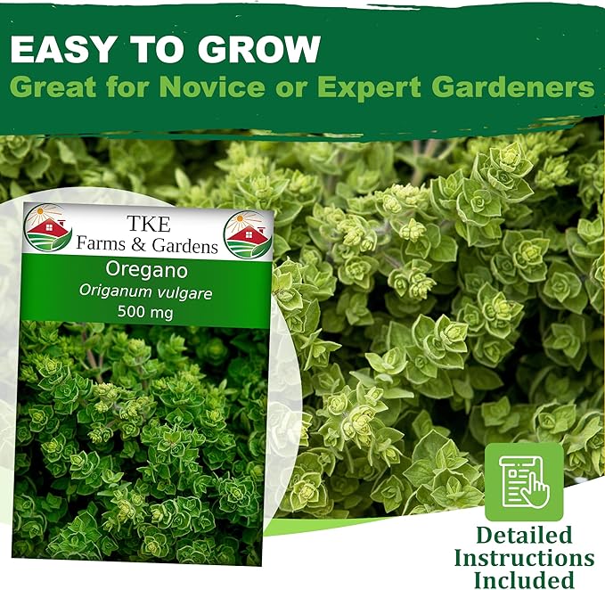 TKE Farms & Gardens - Oregano Seeds for Planting, 3000+ Non-GMO Heirloom Seeds, 500mg, Open Pollinated Perennial Herb, Origanum vulgare, for Indoor & Outdoor Gardens, Qty 1