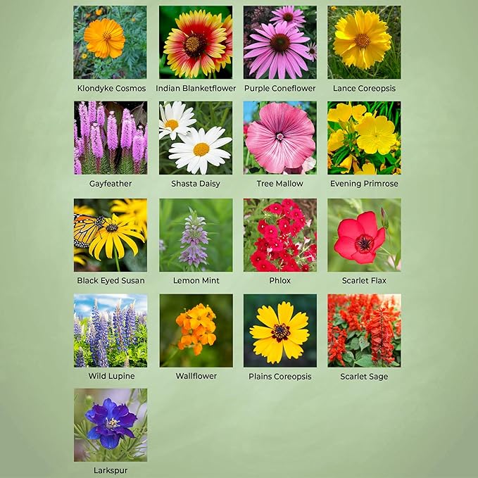 Created By Nature West Virginia Wildflower Seed Mix, 18 Flower Varieties, 35,000 Seeds