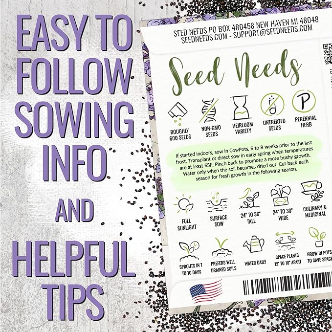 Seed Needs Catmint Seeds for Planting an Indoor/Outdoor Herb Garden - Non-GMO Heirloom & Untreated Herbal Plants - Great for Cats Nepeta mussinii (1 Pack)