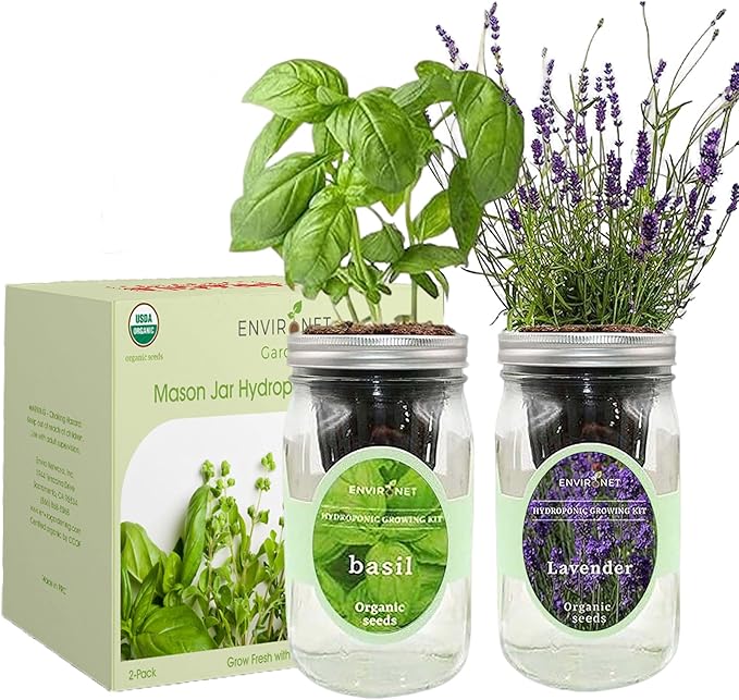 2-Pack Hydroponic Mason Jar Herb Garden Kit, Indoor Herb Garden Self-Watering Starter Kit (Basil,Lavender)