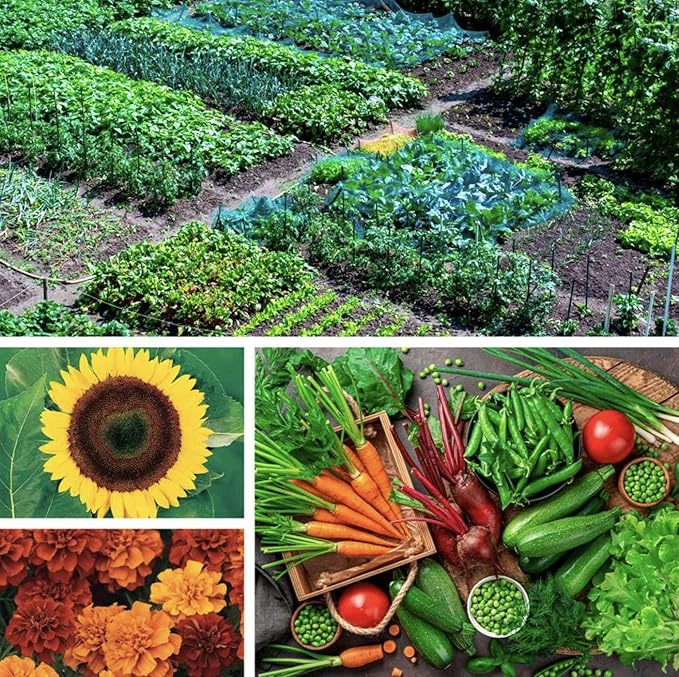 Park Seed Ultimate Garden Seed Collection – Non-GMO Heirloom Vegetable, Herb & Flower Kit with 30 Premium Varieties for All Seasons – Raised Beds, Plots & Containers, Total of 4,650 Seeds