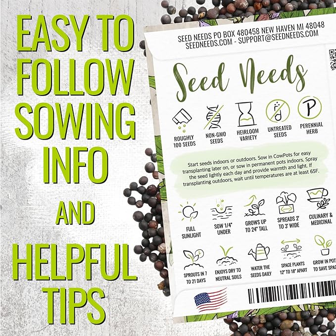 Seed Needs Sage Seeds for Planting Broad Leaved Herbs - Non-GMO Heirloom & Untreated Culinary Herb Seed to Plant a Home Grown Garden Indoors or Outdoors (5 Packs)