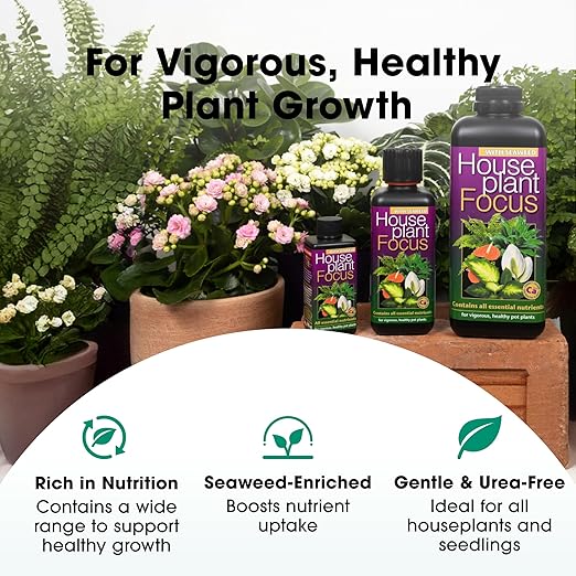 Potted Plant Focus Liquid Concentrated Fertilizer 100ml