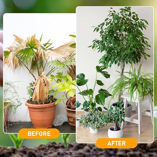 Premium Soil Activator & Liquid Fertilizer,Dirt Health Booster, Liquid Fertilizer for Indoor & Outdoor Plants for Raised Garden Beds, Potting Mix, and Seedling Compost (2 Bottle)
