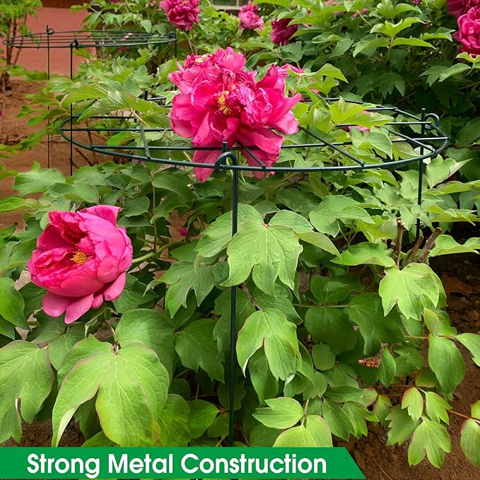 6 Pack 16 x 24 Inch Peony Support Cage Grow Through Plant Supports for Outdoor Plants Peony Ring Hoop Grow Through Grid Stakes