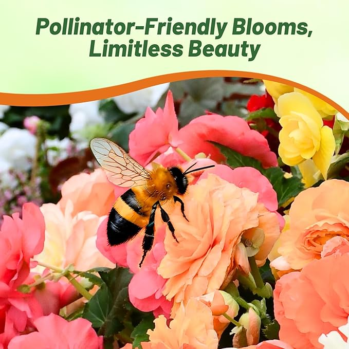 Outsidepride Mix Limitless Begonia Seeds for Planting - 25 Pcs Perennial Flower Seeds with Large Blooms, Arching & Pendulous Growth Habit, for Containers, Hanging Baskets, or Landscape Plantings