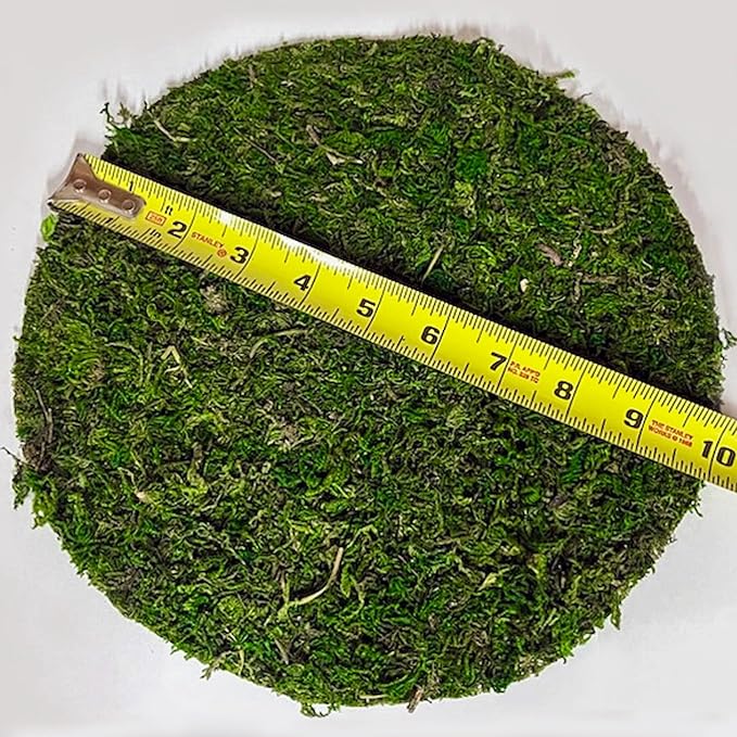 SuperMoss (26310) Moss Soil Toppers (Place Mats), Fresh Green, 10" (3 units)