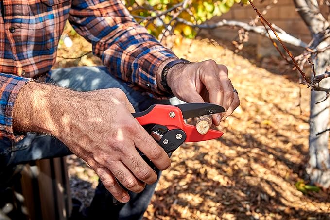 Corona Tools Ratchet Hand Pruner – 3/4-Inch Cut Capacity Garden Pruning Shears for Stems & Branches, Heavy-Duty Ratcheting Hand Pruners with Comfortable Grip