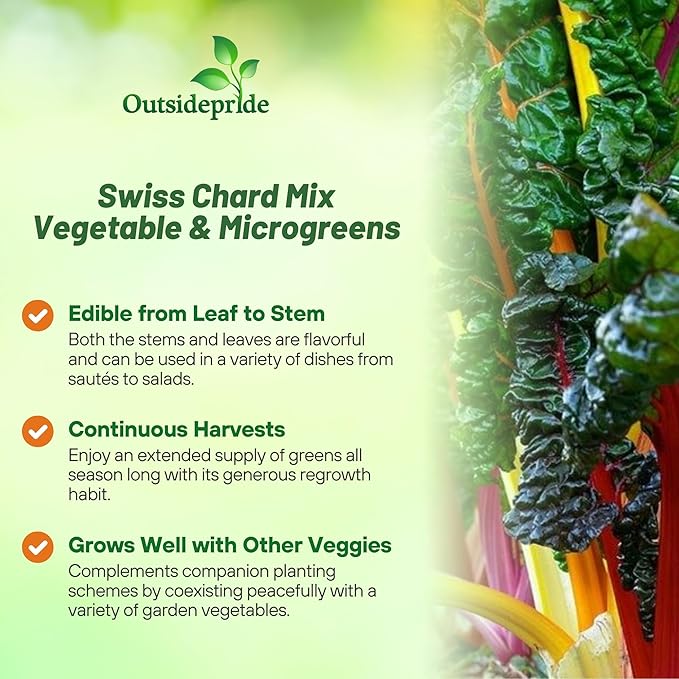 Outsidepride Mix Swiss Chard Seeds for Planting Vegetables & Microgreens - 1000 Pcs Vibrant, Tasty & Highly Nutritious Biennial Vegetable Seeds for Garden Beds, Borders, & Containers