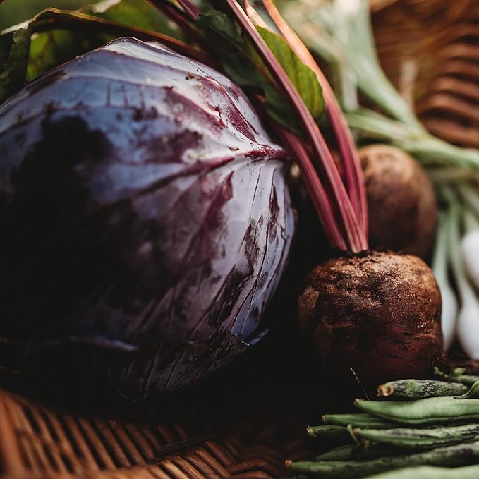 Red Acre Cabbage - 100 Seeds - Heirloom & Open-Pollinated Variety, Non-GMO Vegetable Seeds for Planting in The Home Garden, Thresh Seed Company