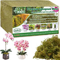 Halatool 5.5LB Green Forest Moss Natural Sphagnum Moss for Plants Fluffy Orchid Moss for Orchids Repotting Dried Plant Moss for Potted Plants Indoor & Outdoor