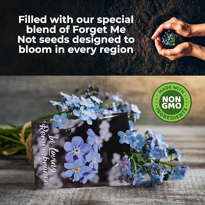 50pc Premium Pre-Filled Forget Me Not Seeds Packets Favors for Funerals, Funeral Decorations, Celebration of Life Decorations, Forget Me Not Seeds Packets, Celebration of Life Ideas, Memorial Cards