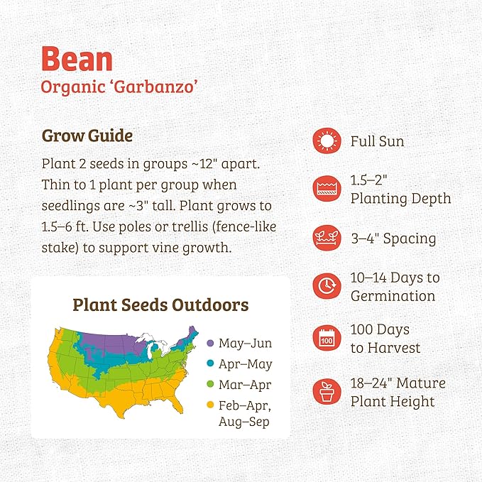 Back to The Roots 100% Organic Seed Packet - Bean 'Garbanzo' 8.4g