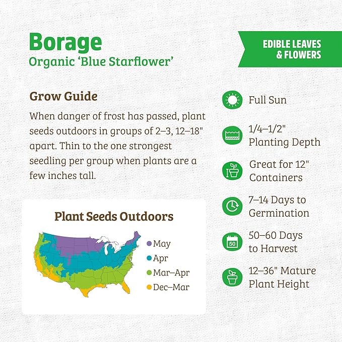 Back to The Roots 100% Organic Heirloom Seeds - Borage Blue Flower Value Pack (2g Total)