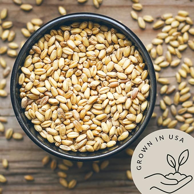 Be Still Farms Organic Hulled Barley Grain (4.8lb) - Whole Barley Groat Seed Bulk - Great for Soup, Flour, Cereal, Home Brewing, Grinding - High in Fiber | USA Grown | USDA Certified | Vegan | Non-GMO