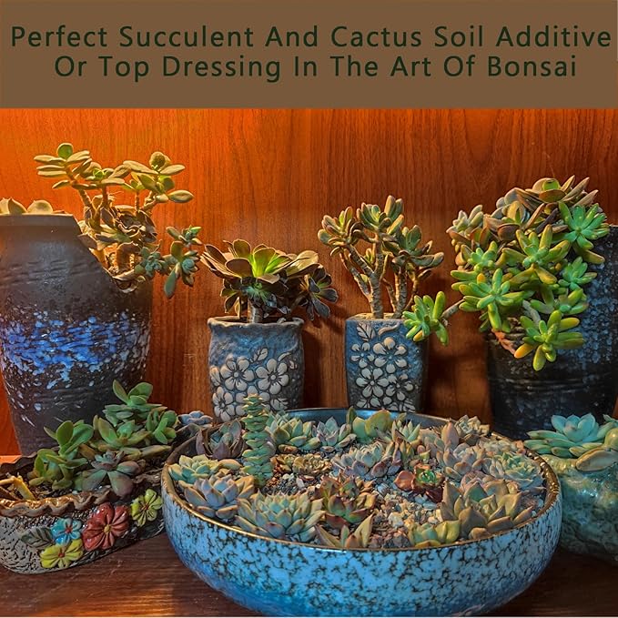 Mix Horticultural1.5lbs Lava Rocks Mixed Potting Soil for Plants Bonsai Succulents and Cacti Soil Decoration Gravel Volcanic Pumice Stones for Terrarium, Top Dressing, Fairy Gardening