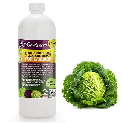 𝐏𝐑𝐎𝐅𝐄𝐒𝐒𝐈𝐎𝐍𝐀𝐋 Liquid Silica Plant Supplement - 32oz - CABBAGE Plants Liquid Silica Boost Fertilizer - Stronger Stems & Healthy Leaves for Indoor & Outdoor Cabbage Plants (Makes 180 Gallons)