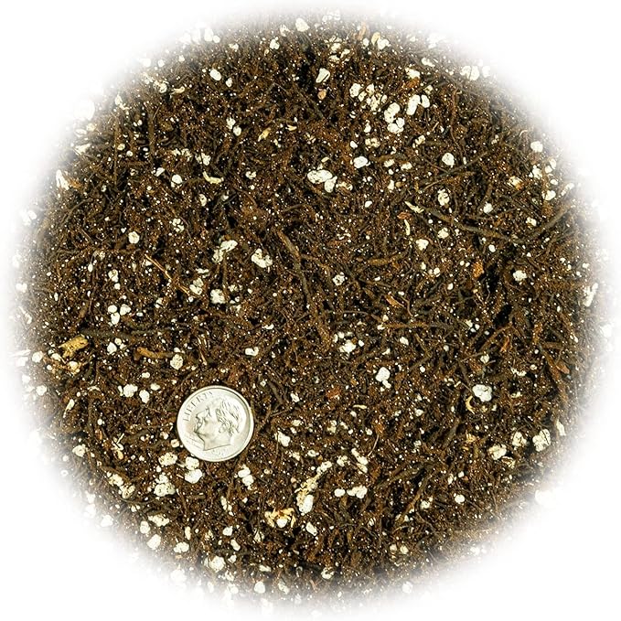Gardenera Fern + Perlite Soil Mix for Repotting and Planting Succulents and Cactuses - 2 Quart Bag