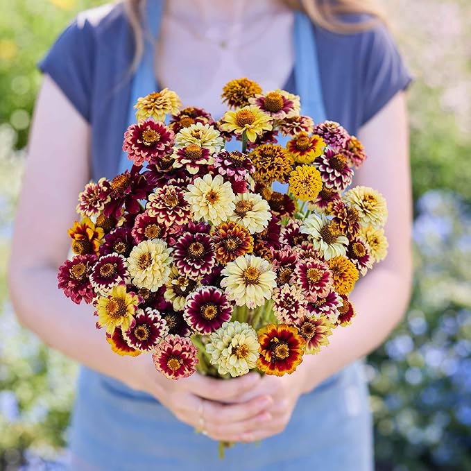 Eden Brothers Zinnia Seeds - Jazzy Mix