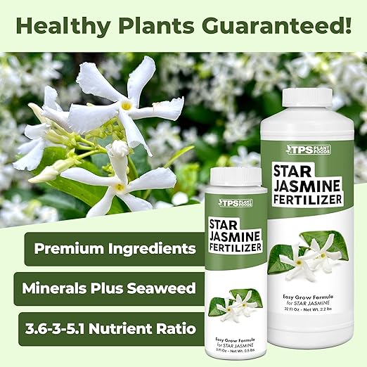 Star Jasmine Fertilizer – Liquid Plant Food for More Blooms, Stronger Vines & Sweet Fragrance, 32 oz