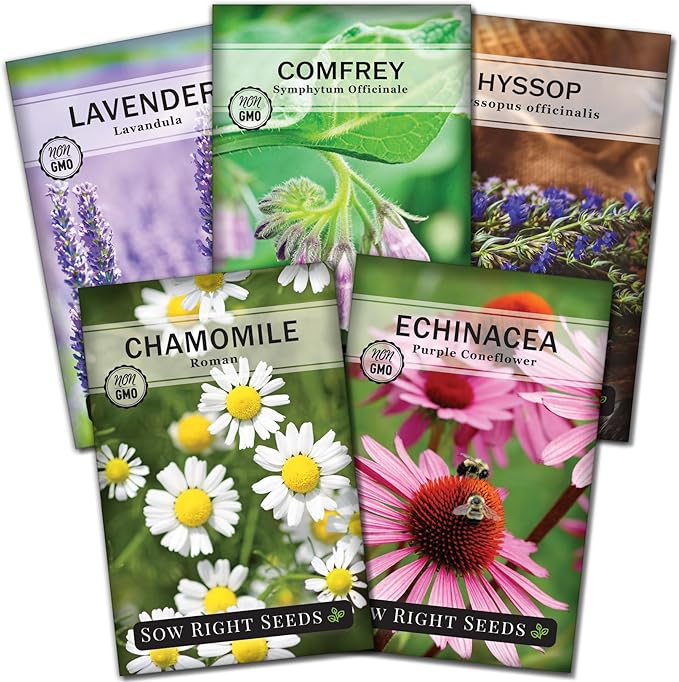 Sow Right Seeds - Medicinal Herb Seed Collection for Planting - Roman Chamomile, Echinacea, Lavender, Hyssop & Comfrey - Non-GMO Heirloom Seed - Grow Your own Home Remedies, Teas, & Tinctures