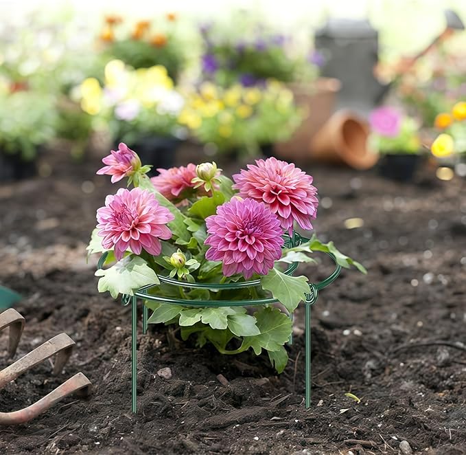 6 Pack Peony Cages and Supports, 11.8" Plant Support Ring with Detachable Extension Rod, Extends to 23.6" H, Heavy Flower Brace Ring Grow Through Plant Support Stakes for Tomato Hydrangea