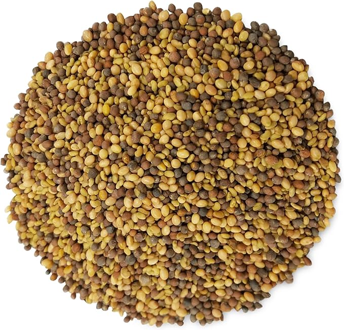 Food to Live - Antioxidant Mix of Sprouting Seeds, 8 Ounces — Broccoli, Clover, Alfalfa, Kosher, Raw, Vegan