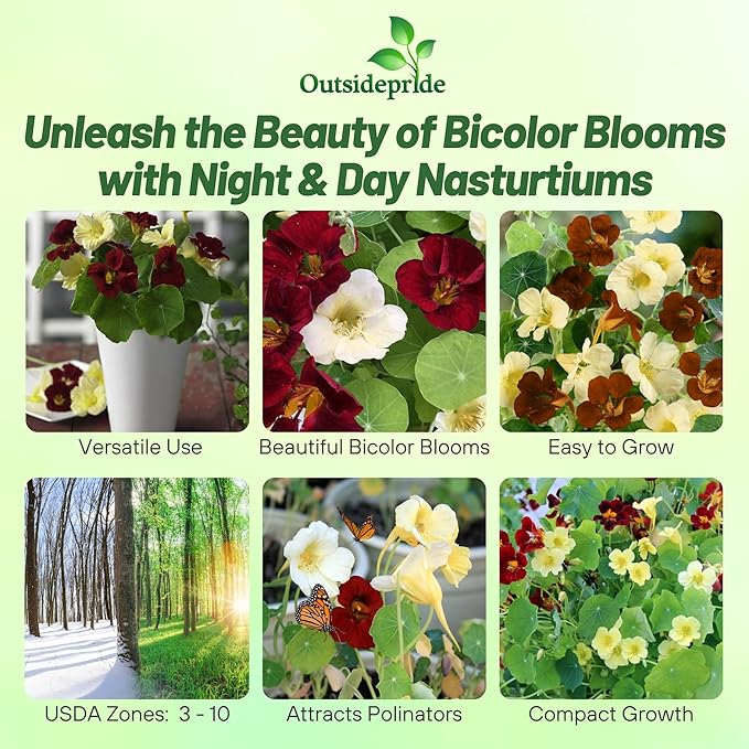 Outsidepride Single Night & Day Nasturtium Seeds - 200 Pcs Annual, Easy to Grow & Versatile, Flower Seeds for Planting Vibrant Blooms, Ideal for Gardens, Borders, and Pollinator Gardens