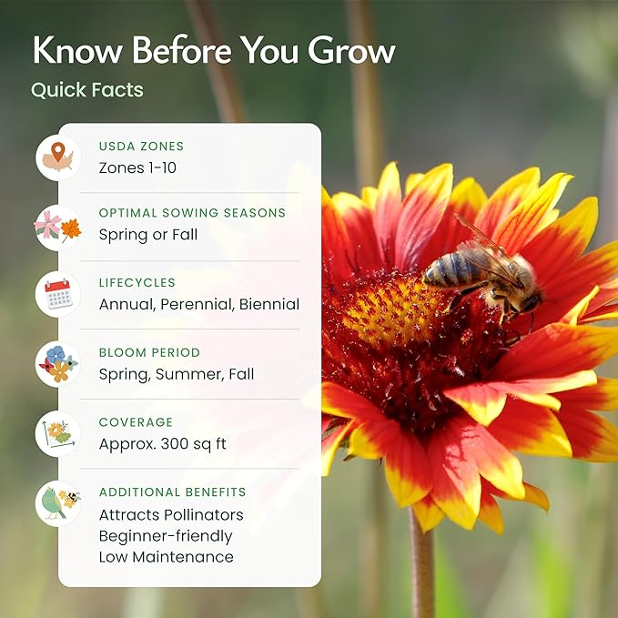 Created By Nature Arizona Wildflower Seed Mix with Poppy and Lupine Seedds, 14 Flower Varieties, 30,000+ Seeds