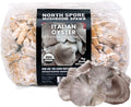 North Spore Organic Italian Oyster (500 ct) Mushroom Plugs for Logs | Premium Quality Mushroom Plug Spawn | Handmade in Maine, USA | Grow Gourmet Mushrooms Outdoors on Logs