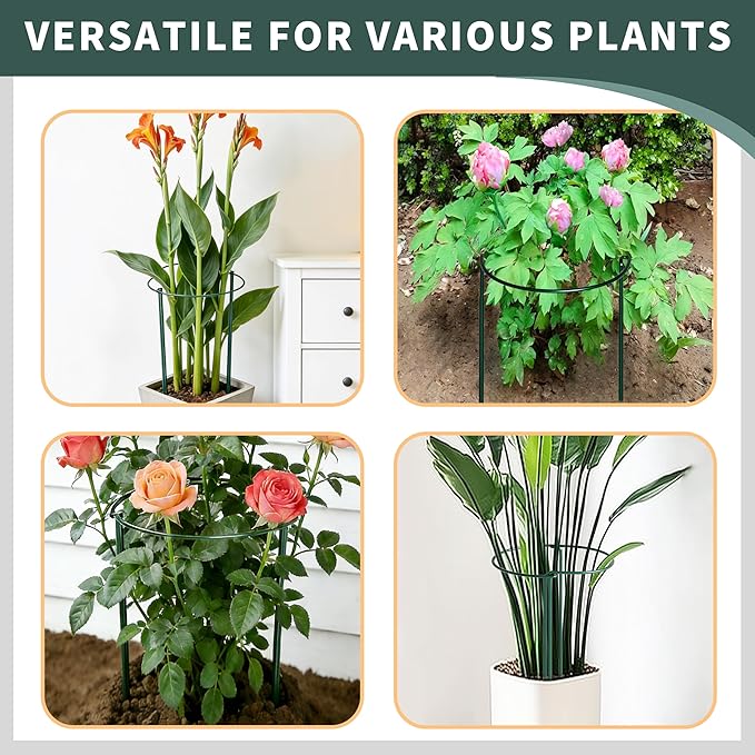TCBWFY 4-Pack Plant Supports,16" Wx46 H Half Round Plant Support Stakes,6mm Thick Heavy-Duty Metal Peony Cage,Tall Garden Plant Support for Peony,Tomato,Hydrangea,Rose,Outdoor Flower Plant Stakes