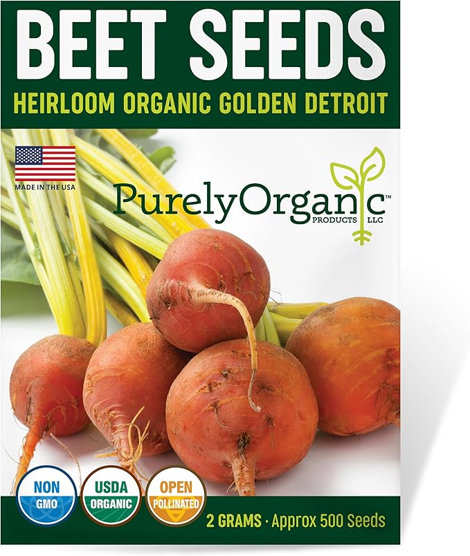 Purely Organic Golden Detroit Beet Seeds - Approx 500 Seeds - USDA Organic, Non-GMO, Open Pollinated, Heirloom, USA Origin