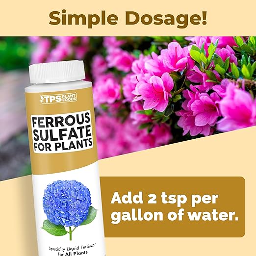 Ferrous Sulfate for Plants – Liquid Iron Supplement for Greener Leaves, Improved Chlorophyll Production & Reduced Yellowing, 8 oz