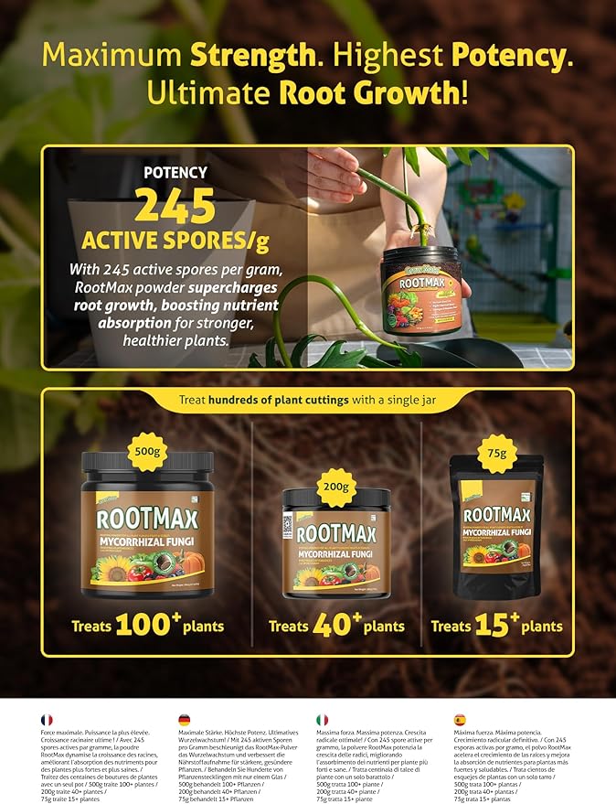 RootMax - Mycorrhizal Fungi (75 g/2.64 oz) | Rooting Powder for All Plants, Trees, Flowers & Edibles | Direct to Root Inoculant | Treats 15+ Plants