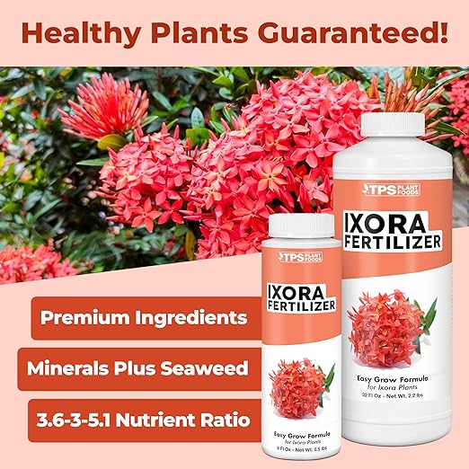 Ixora Fertilizer – Liquid Plant Food for More Blooms, Rich Green Leaves & Stronger Root Development, 32 oz