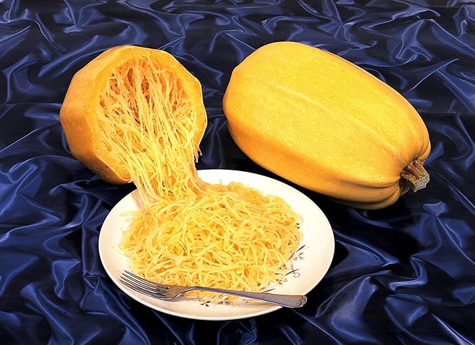 Seeds Squash Zucchini Yellow (Inside Like Spaghetti) Large Summer Vegetable for Planting Non GMO