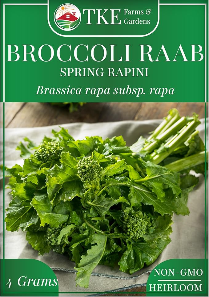 TKE Farms & Gardens - Broccoli Raab Seeds for Planting, 1000+ Non-GMO Heirloom Seeds, Enjoy Nutritious Italian Greens, Grow Tender, Flavorful Spring Rapini, Includes Easy Instructions for Your Garden