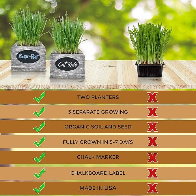 Cali Kiwi Pros Cat Grass for Indoor Cats Kit – Organic Wheatgrass Seed & Soil, Hairball Remedy in Red Cedar Planter, Gift Box with Bonus Label, Pen & 10% Cat Treats Discount (Coast)