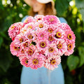 Eden Brothers Zinnia Seeds - Illumination, Non-GMO Seeds for Planting, 1 oz | Low-Maintenance Flower Seeds, Plant During Spring, Zones 3, 4, 5, 6, 7, 8, 9, 10
