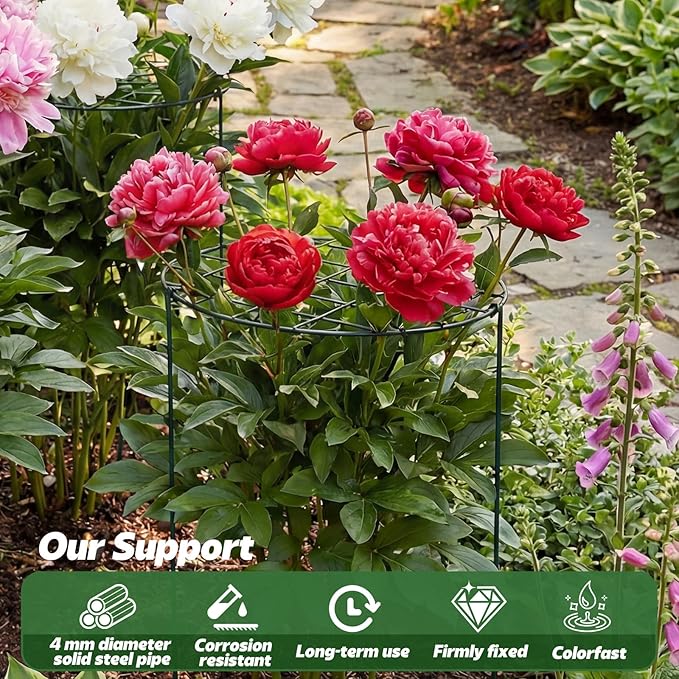 4 Pack Round Peony Cages and Supports 12 x 16 Inches (D x H) Grow Through Grid Plant Brace Plant Support Stake Heavy Duty Metal Flower Support Rings for Rose Tomato Hydrangea Strawberry