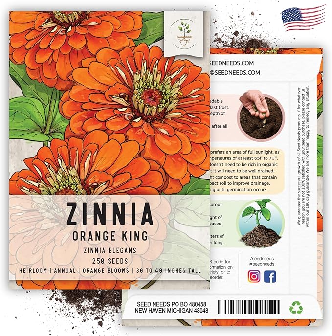 Seed Needs Zinnia Seeds for Planting Orange King Zinnias - Heirloom & Open Pollinated Wildflower Seed to Plant a Butterfly Garden - Great for Cut Flowers (1 Pack)