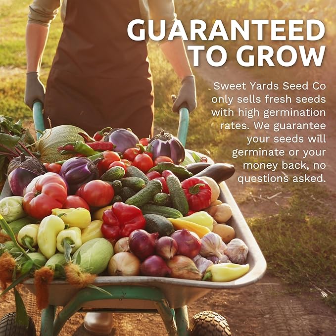 Organic Herbal Tea Seeds Variety Pack - 5 Individual Packs - 2026 Season - Mint, Lavender, Calendula, Chamomile & Lemon Balm. For Indoor & Outdoor Planting (Non-GMO, Certified Organic)